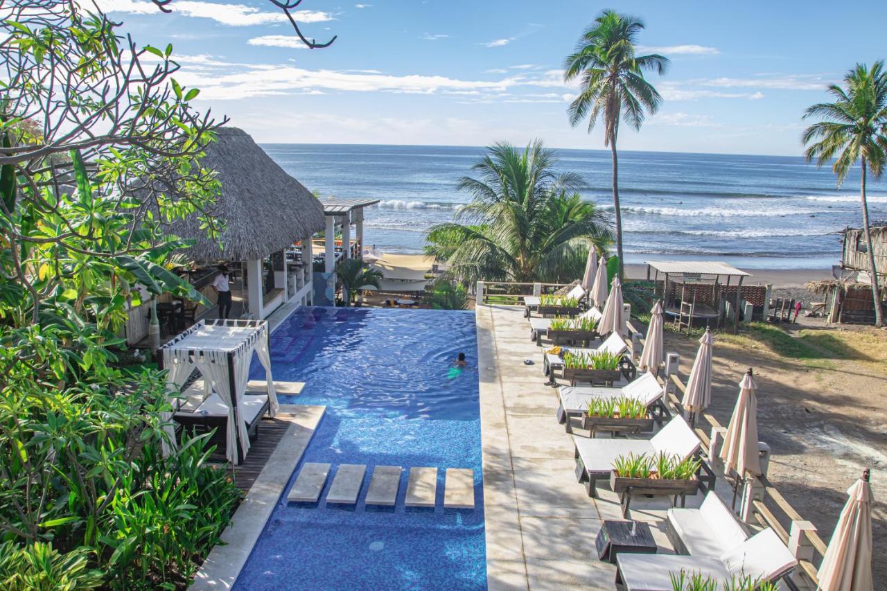 Palo Verde Sustainable Hotel 埃尔蒙特 外观 照片